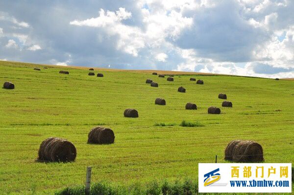 呼倫貝爾及主要景點介紹(圖5)