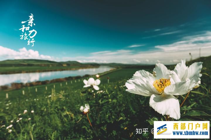 呼倫貝爾6日游詳細(xì)攻略-呼倫貝爾旅游十大旅游景點(diǎn)推薦(圖11) 呼倫貝爾6日游詳細(xì)攻略-呼倫貝爾旅游十大旅游景點(diǎn)推薦(圖11)