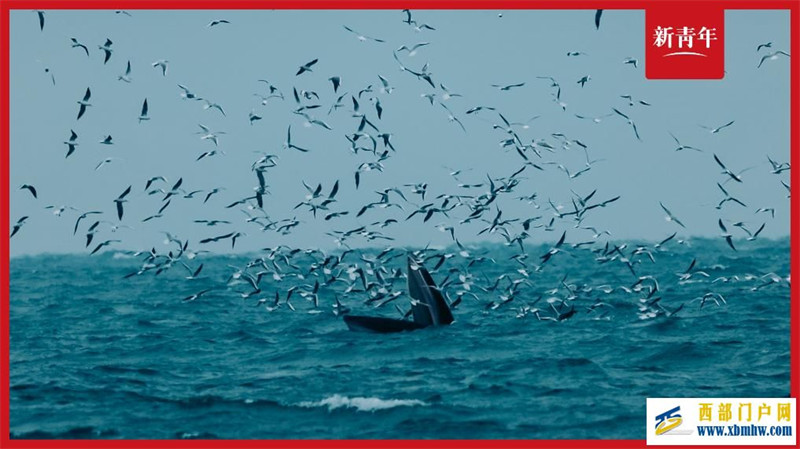 大海的樂章(圖5)