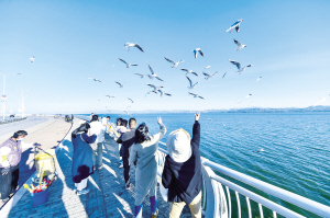 滇池畔再續人鷗情 昆明擦亮春城文旅名片(圖1)