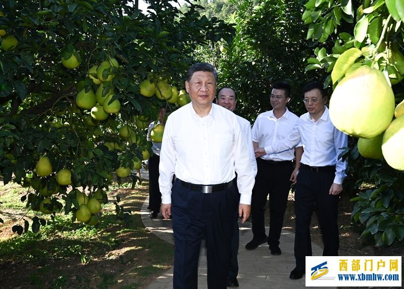 習近平在廣東考察時強調(圖4) 習近平在廣東考察時強調(圖4)