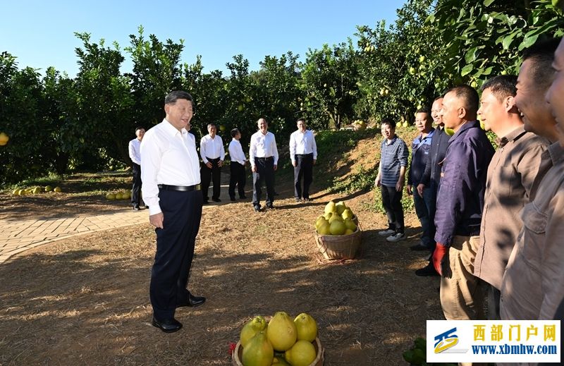 習近平在廣東考察時強調(圖6) 習近平在廣東考察時強調(圖6)